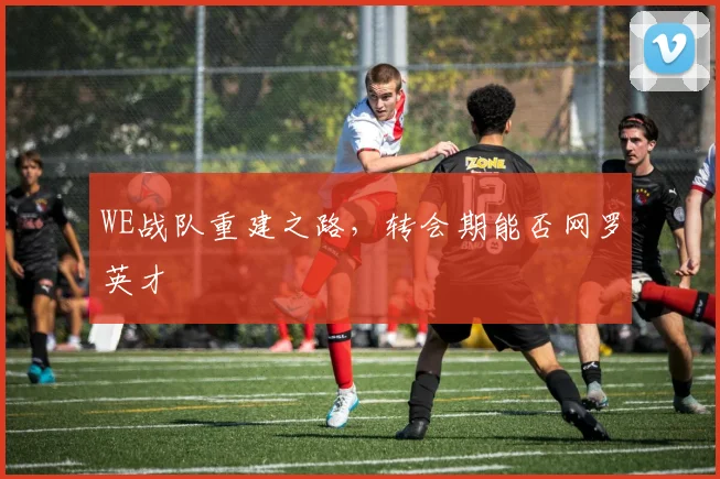 WE战队重建之路,转会期能否网罗英才