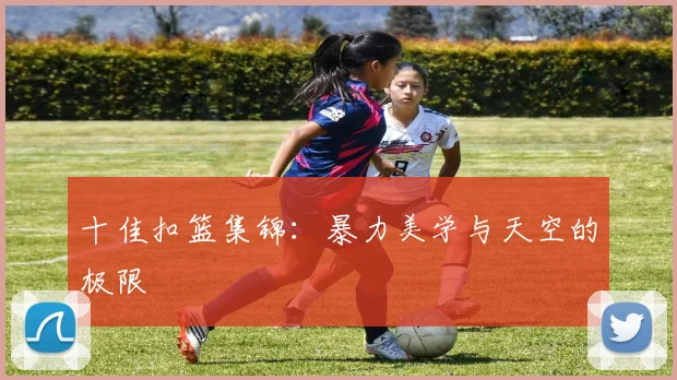 十佳扣篮集锦:暴力美学与天空的极限