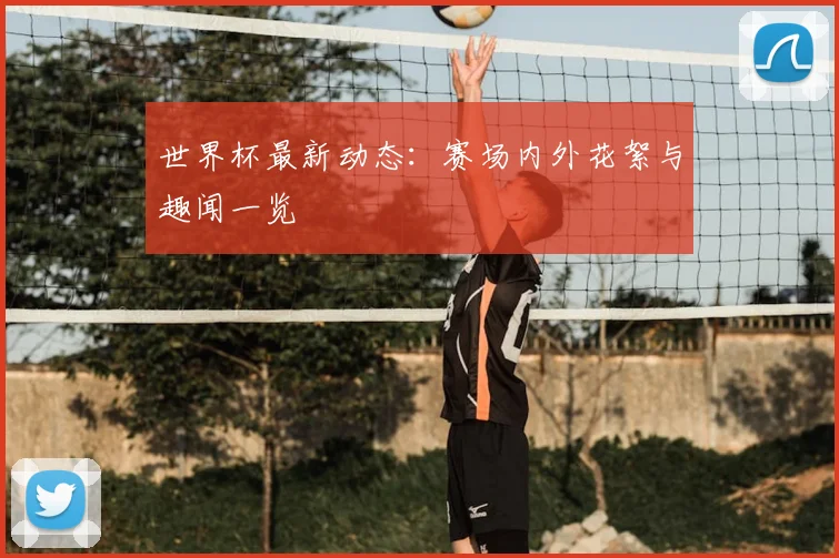 世界杯最新动态:赛场内外花絮与趣闻一览