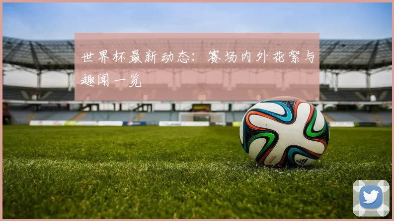 世界杯最新动态：赛场内外花絮与趣闻一览