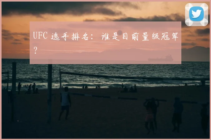 UFC 选手排名:谁是目前量级冠军?
